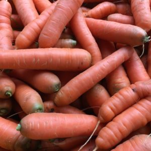 End of Season, Bulk Carrots